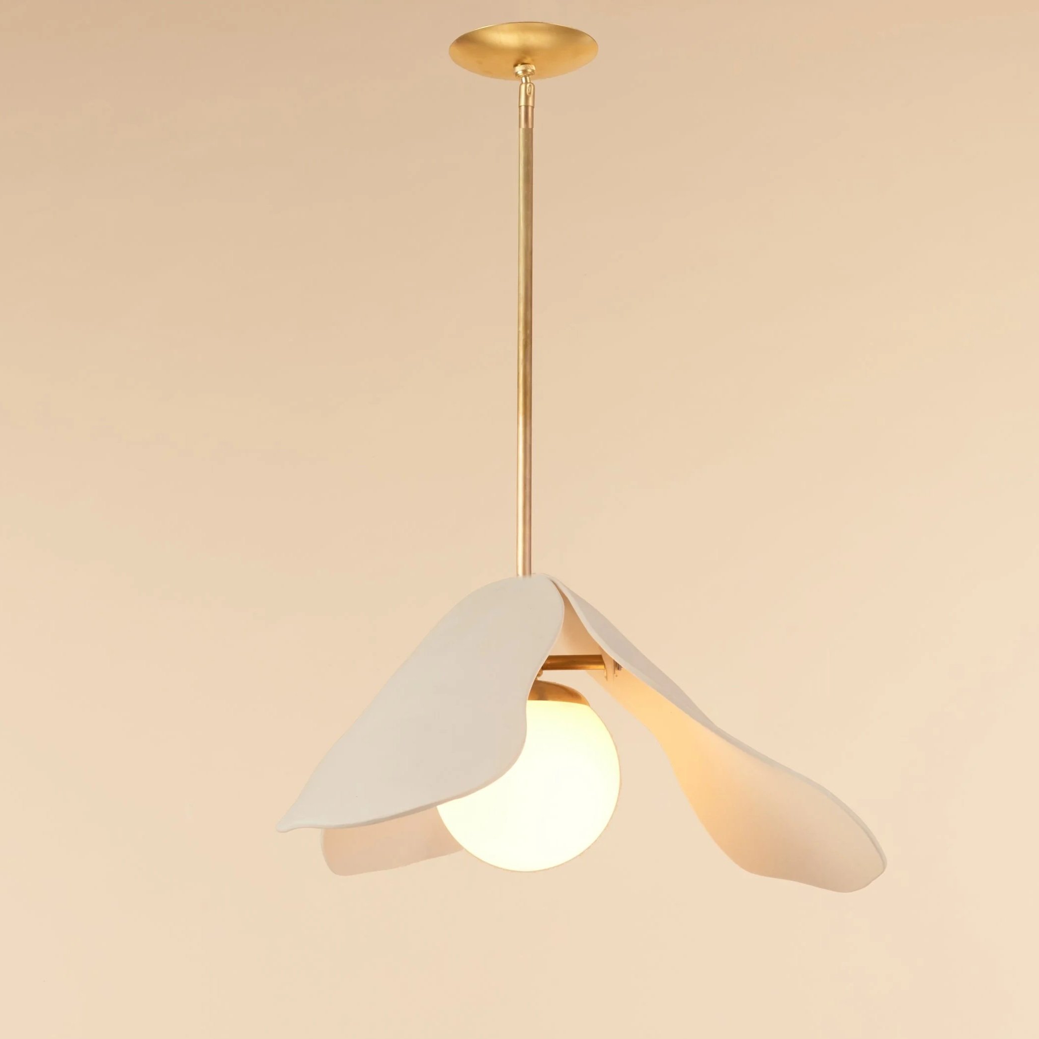 Reflective Studies Collection, 2022