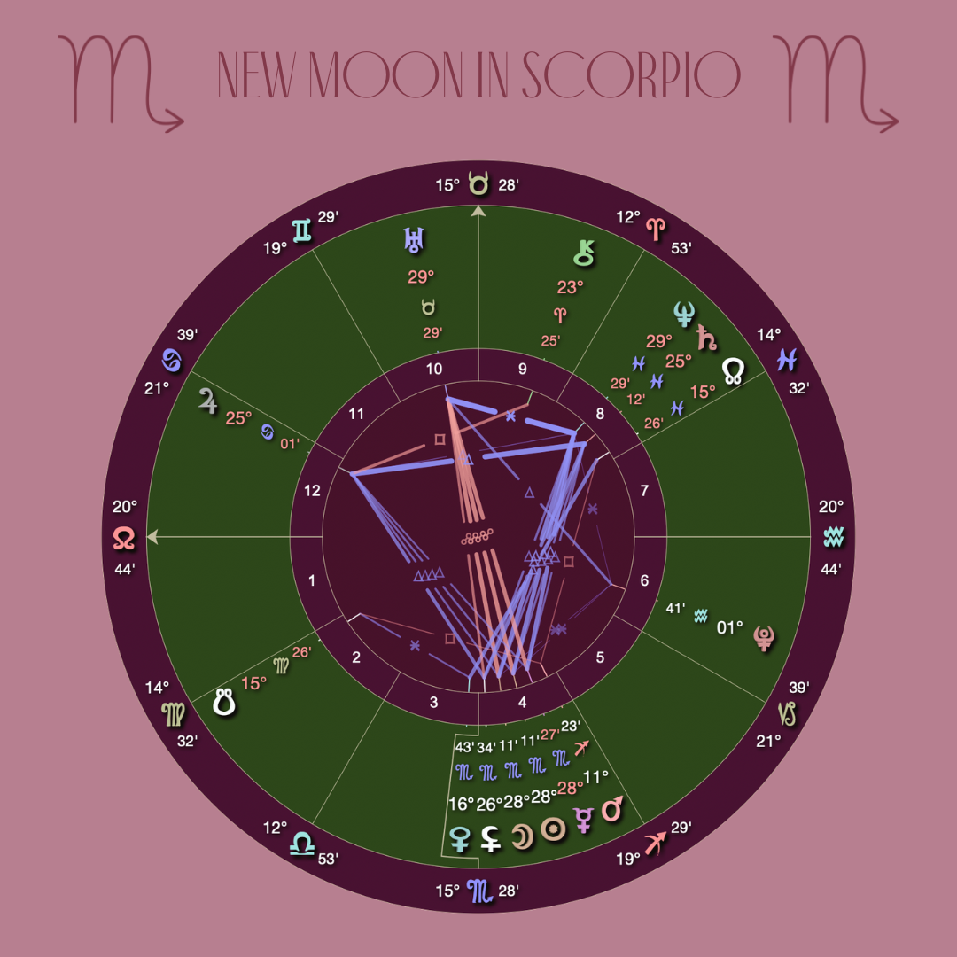 New Moon in Scorpio: Through the Depths, Clarity Begins to Emerge…