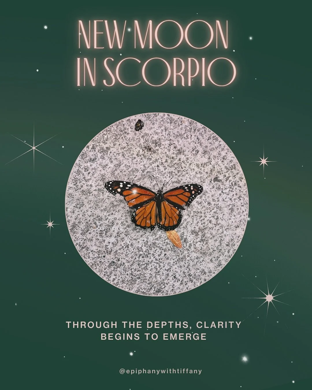 Unpacking this New Moon. In true Scorpio style &mdash; it&rsquo;s complex, layered, and entangled. 🦂 ♏️ 

Through the watery depths, clarity is slowly emerging. 

The transformation is underway. Rebirth follows. 

🦋

#scorpionewmoon #scorpioseason 