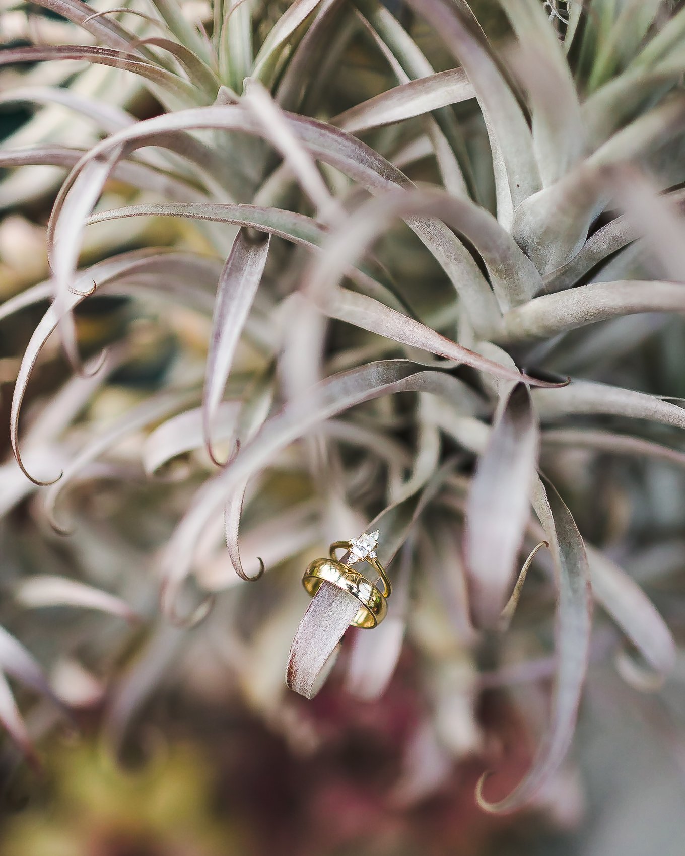 top_sonoma_wedding_photographer_best_san_francisco_wedding_photography-20.jpg