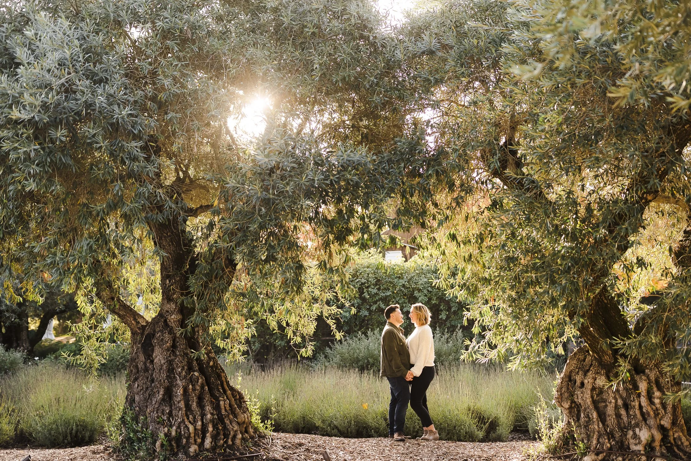 healdsburg-wedding-photographer-25.jpg