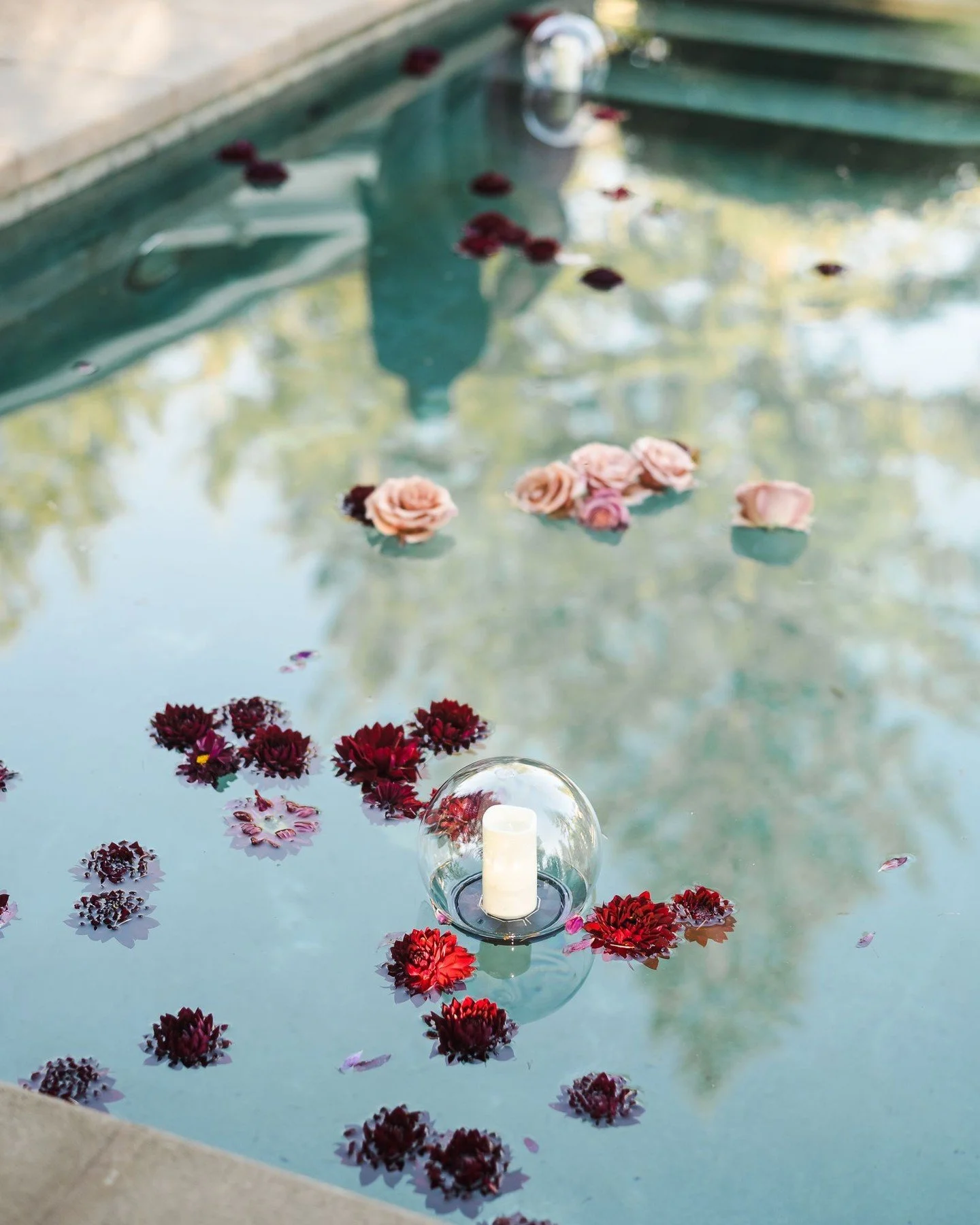 We celebrate all love. And we always will 🧡&hearts;️💛💚💙💜 Happy Holidays to you and yours! 

#lbgtqfriendly #alllove #napaweddingphotographer