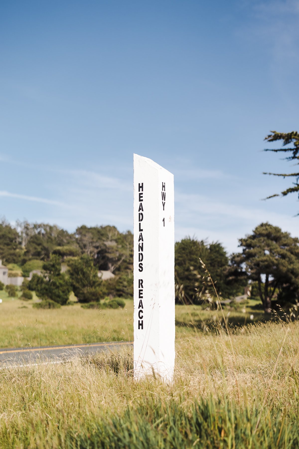 Sea_Ranch_Lodge_Elopement_Photographer-104.jpg