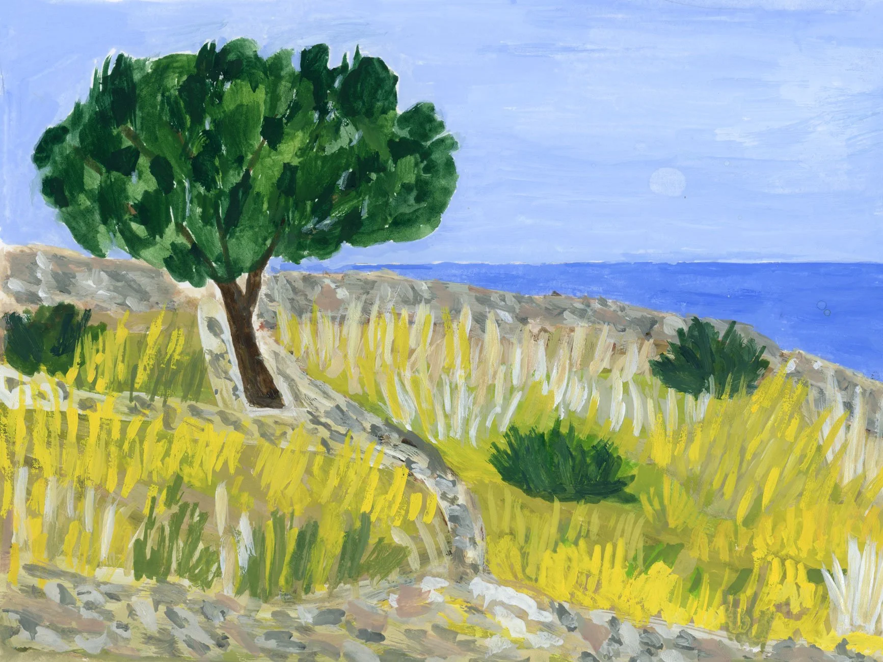 view-Ampelos-12-by-16.jpg