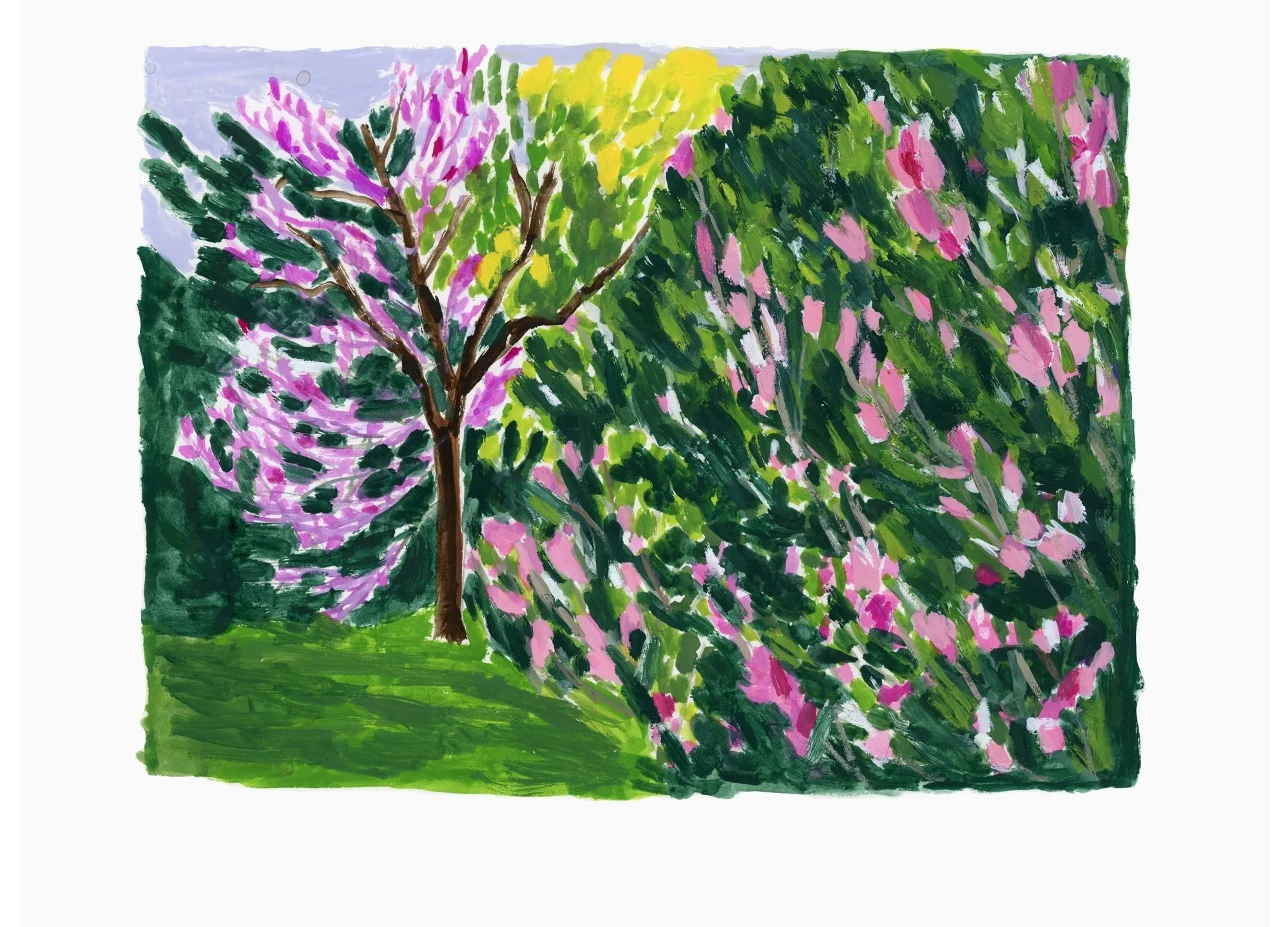 Spring-Has-Sprung-10.25-by-14.25-%28image-11-x-8-%27%29-painting.jpg