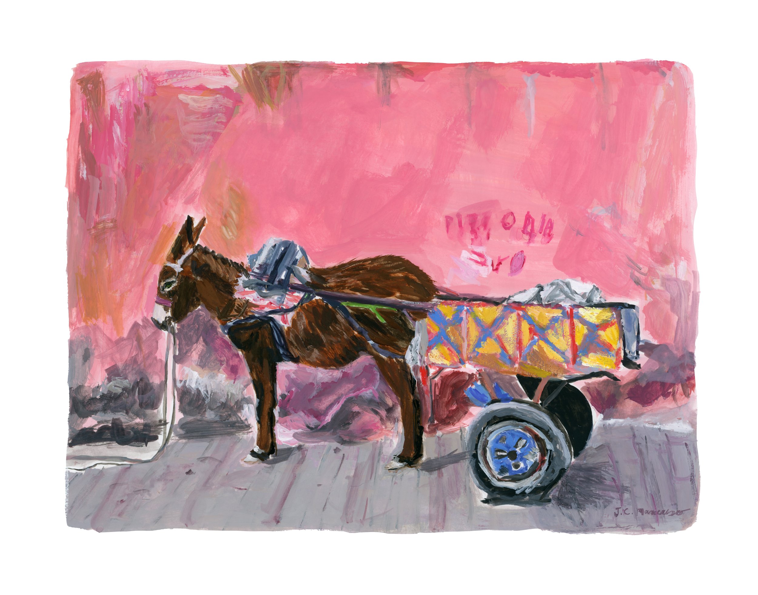 donkey morocco PRINT light.jpg