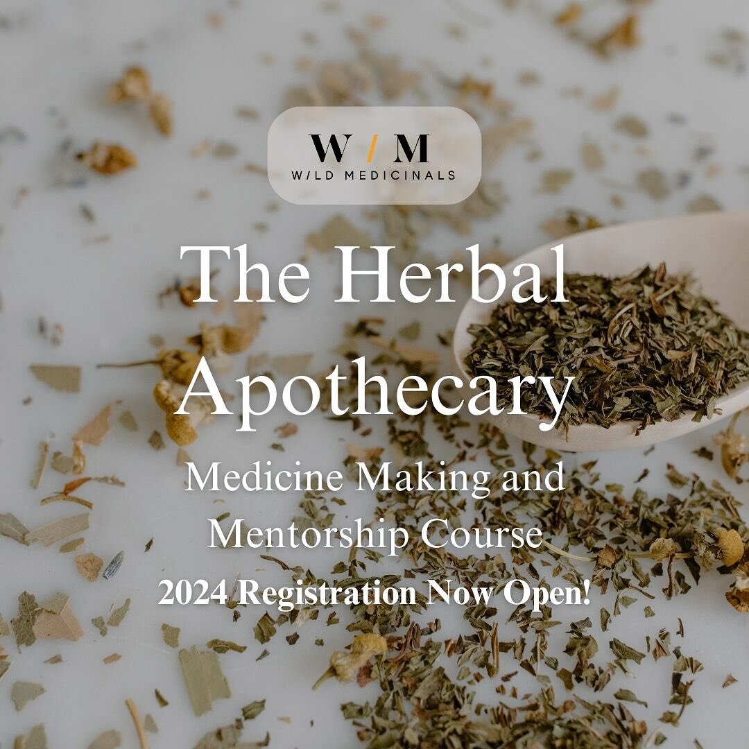 Learn to support your health and vitality with herbal medicine in this comprehensive, hands on course!

Herbal medicine is the original medicine. Humans have evolved alongside plants, relying on them in nearly every aspect of our lives, for our entir