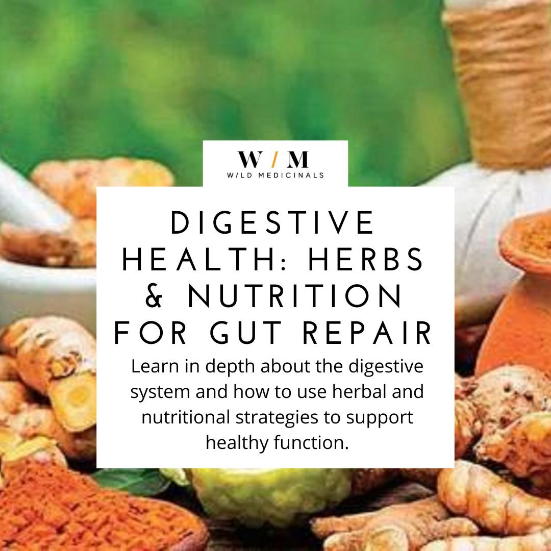 DIGESTIVE HEALTHwebsite pic.jpg