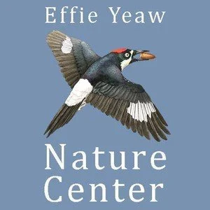 Carmichael: Music in the Amphitheater @ Effie Yeaw Nature Center