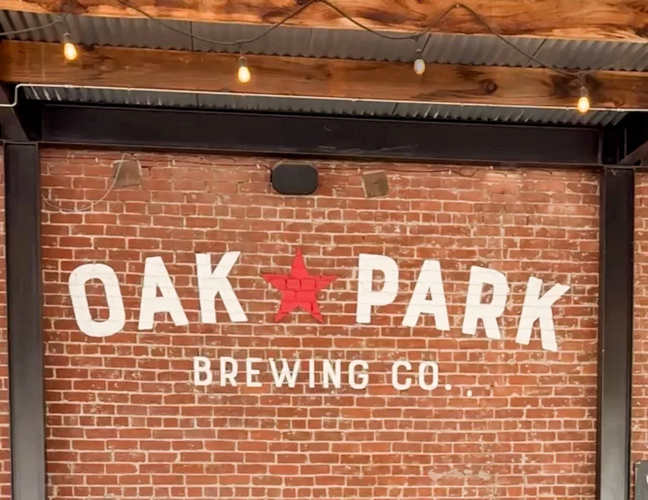 Whimsically Festive Family Music @ Oak Park Brewing Co. 🎃🎶