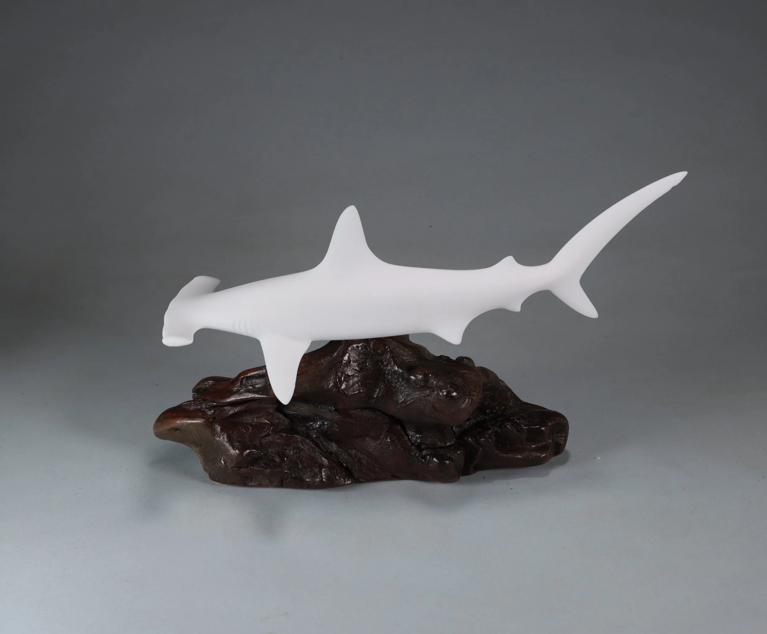 3021 Large Pel Hammerhead 1.jpg