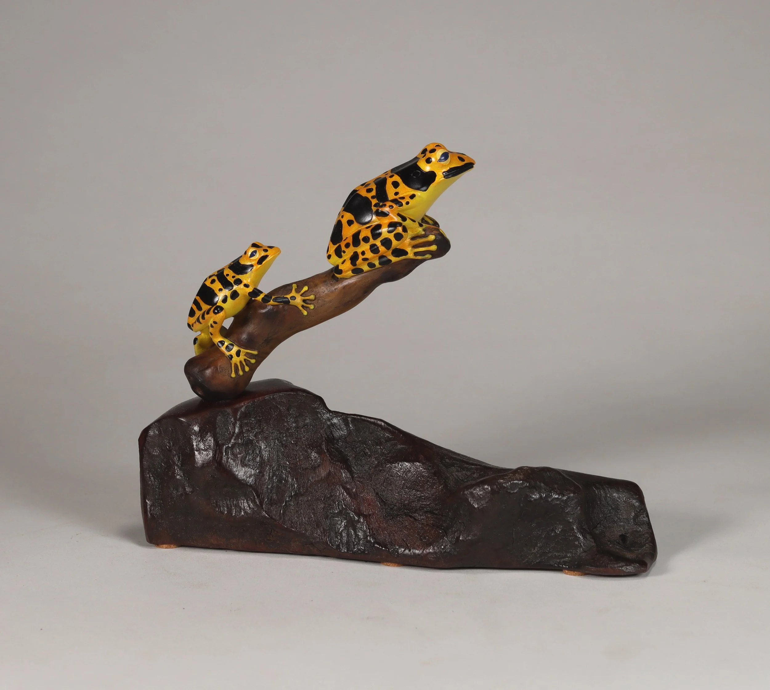 Black and Yellow Frog Duo Sculpture Airbrushed 6in Long on Burlwood