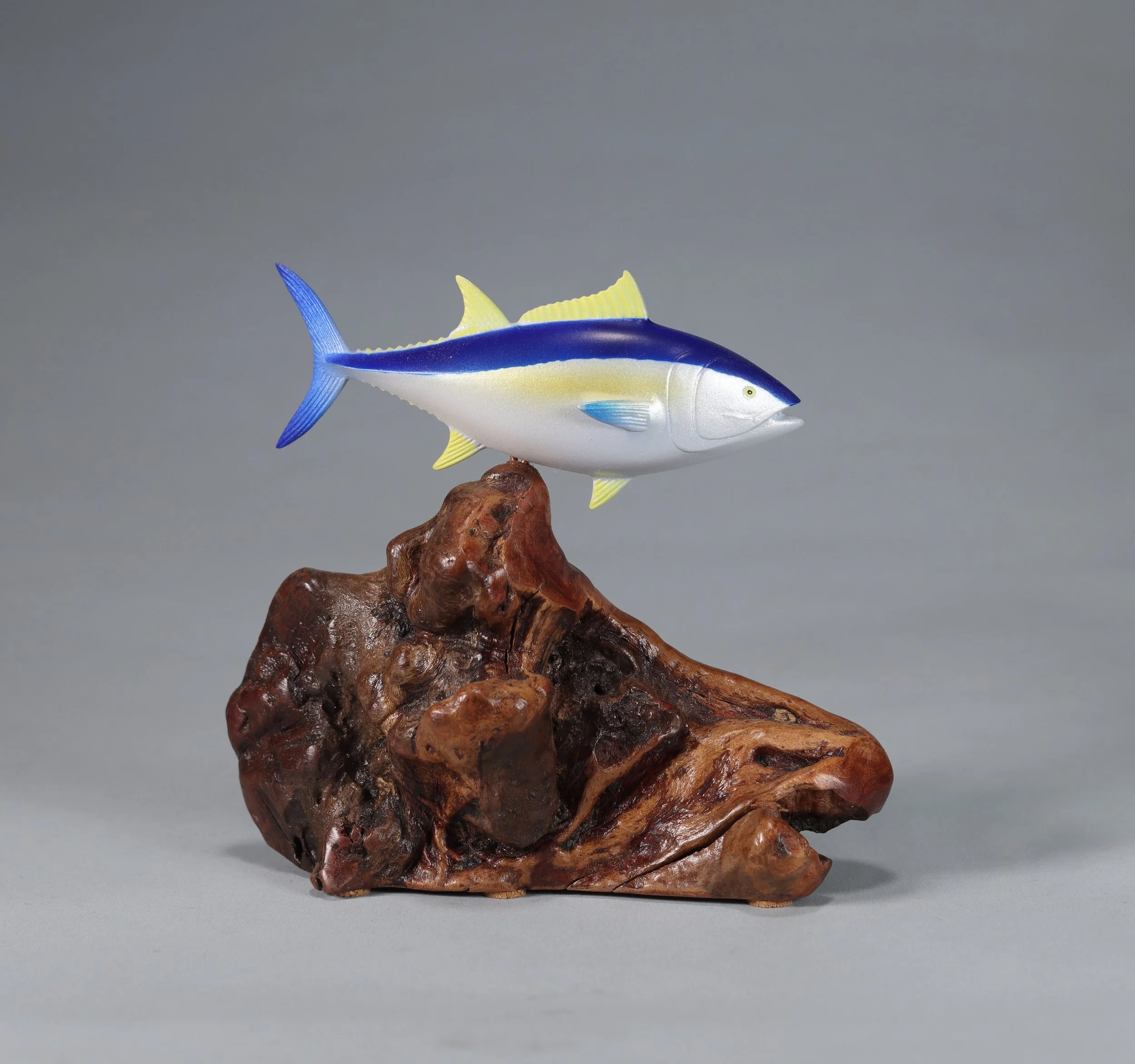 Blue Fin 4.jpg