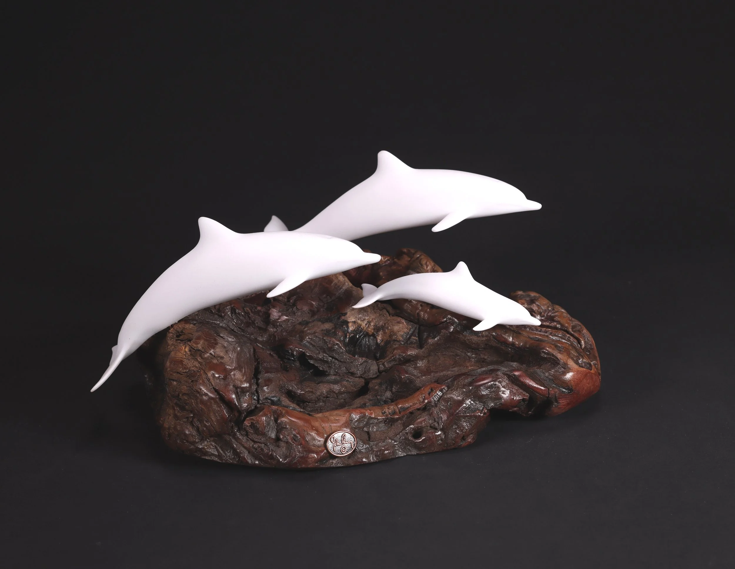 1123 Med Pel Family Dolphins 1.jpg