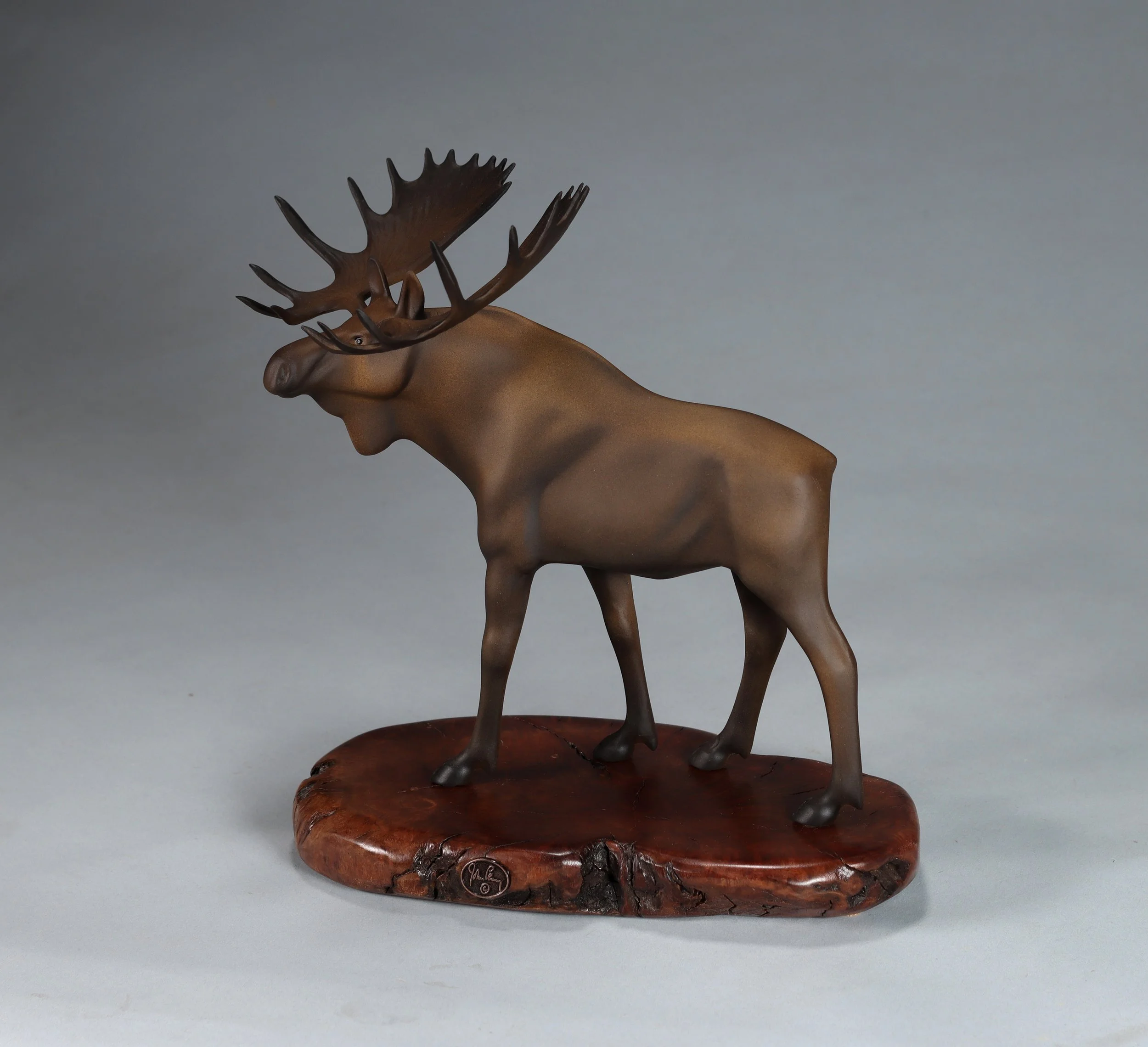 Moose 3.jpg