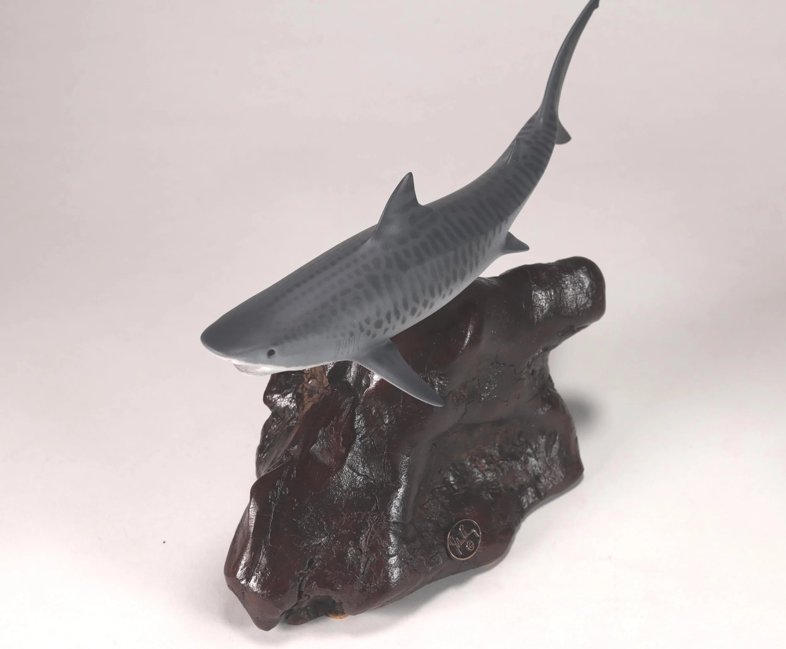 Tiger 8 top front view.jpg