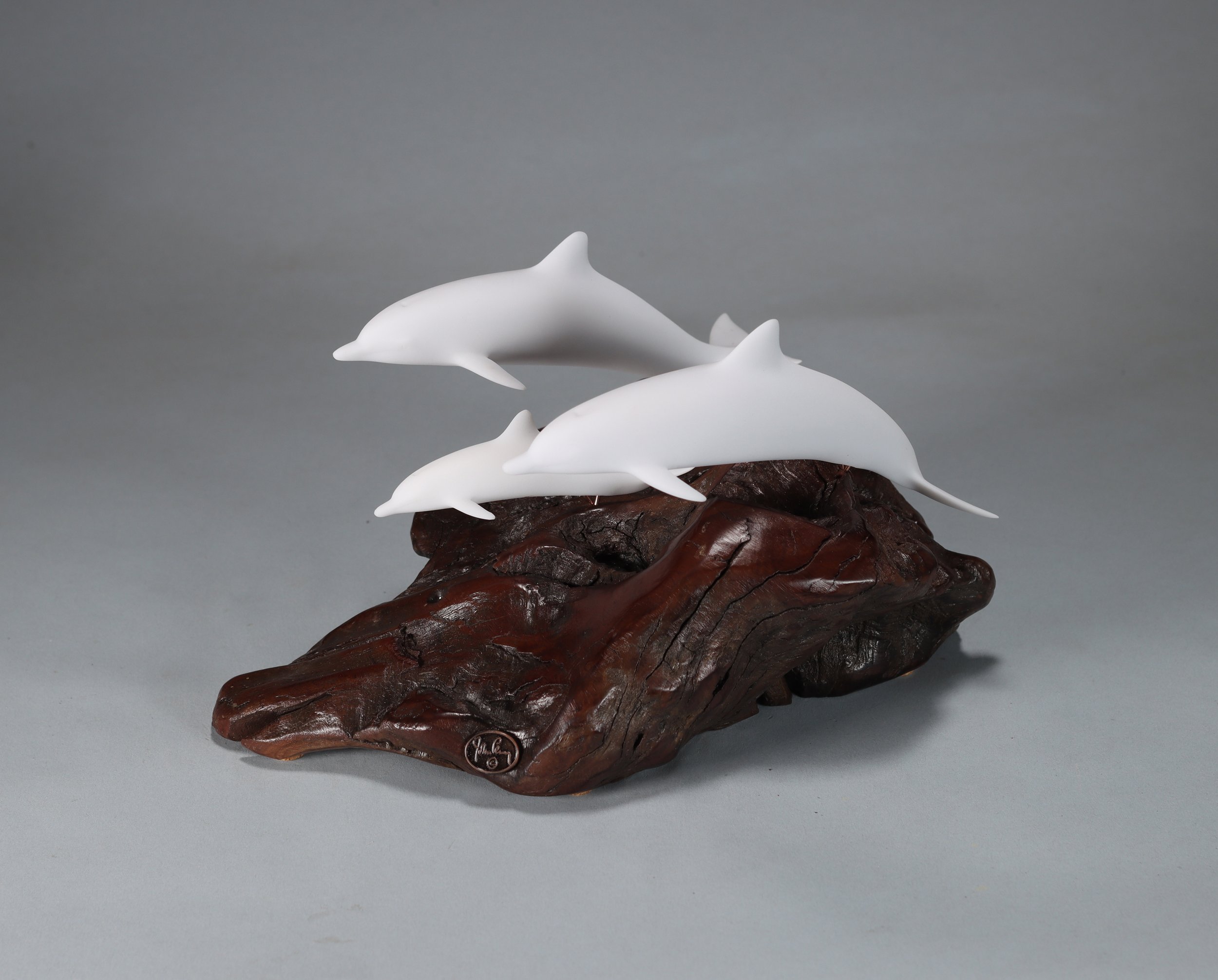 1123 Med Pel Family Dolphins 3.jpg