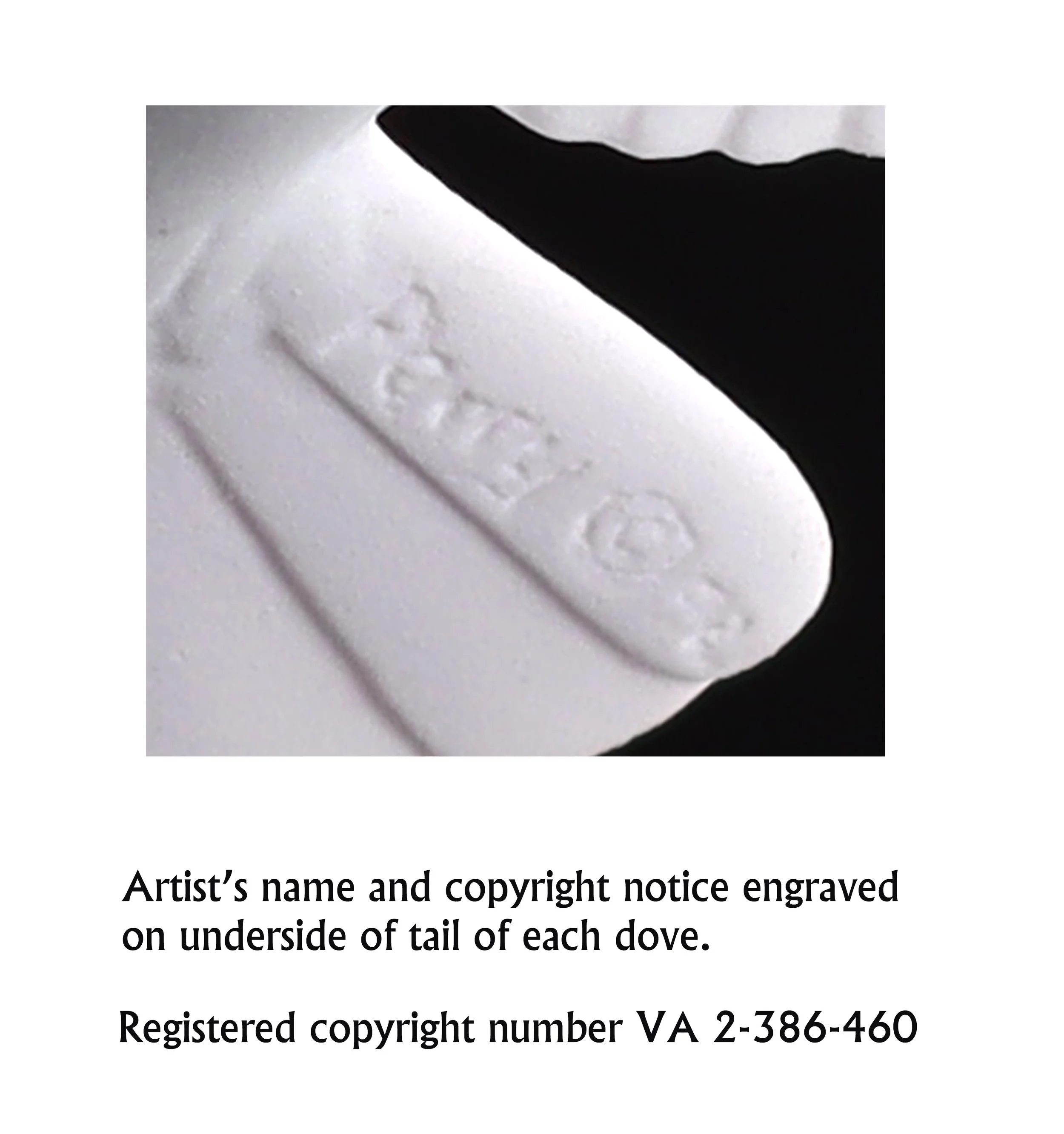COPYRIGHT NOTICE.jpg