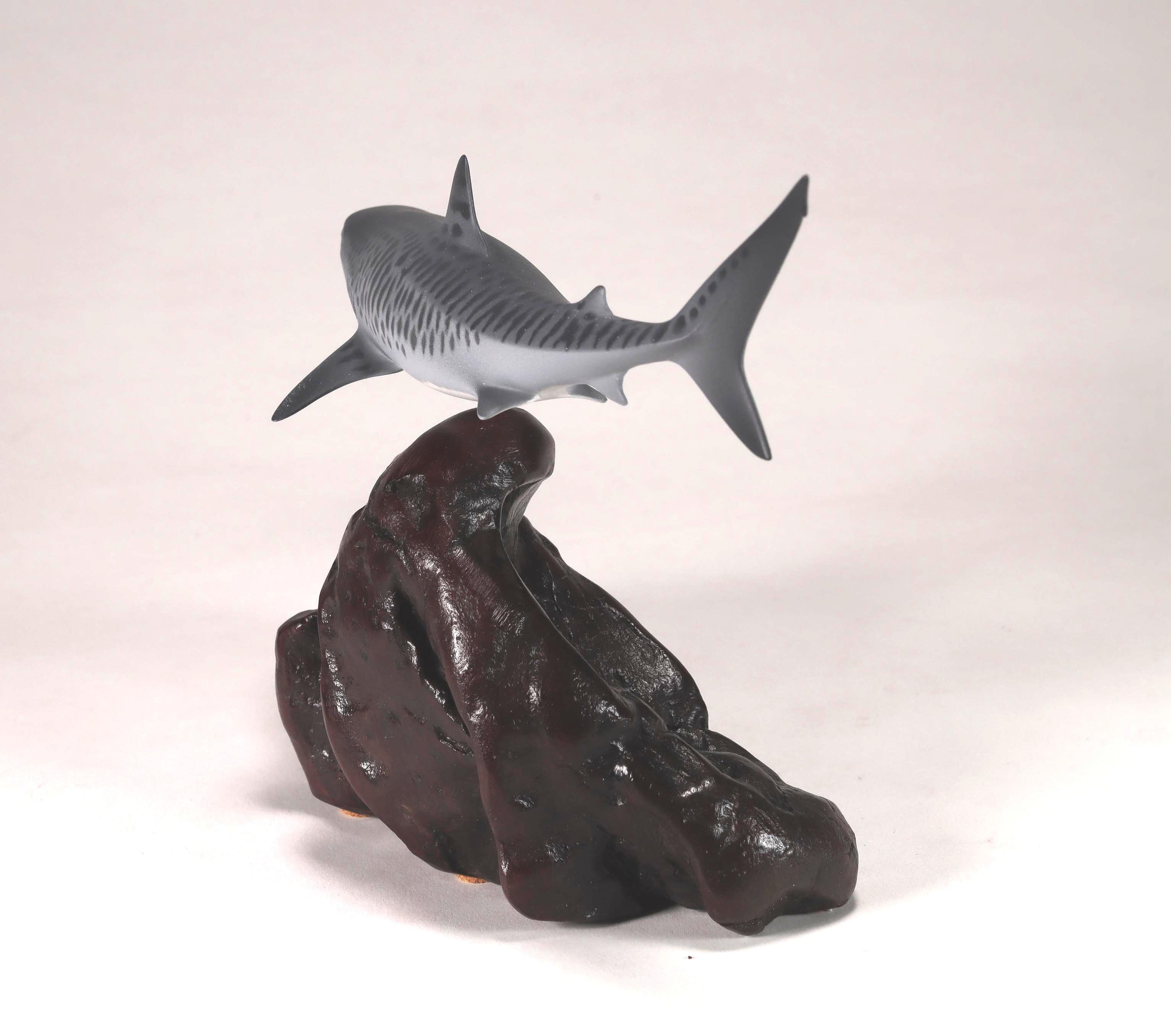 Tiger 7 rear view.jpg