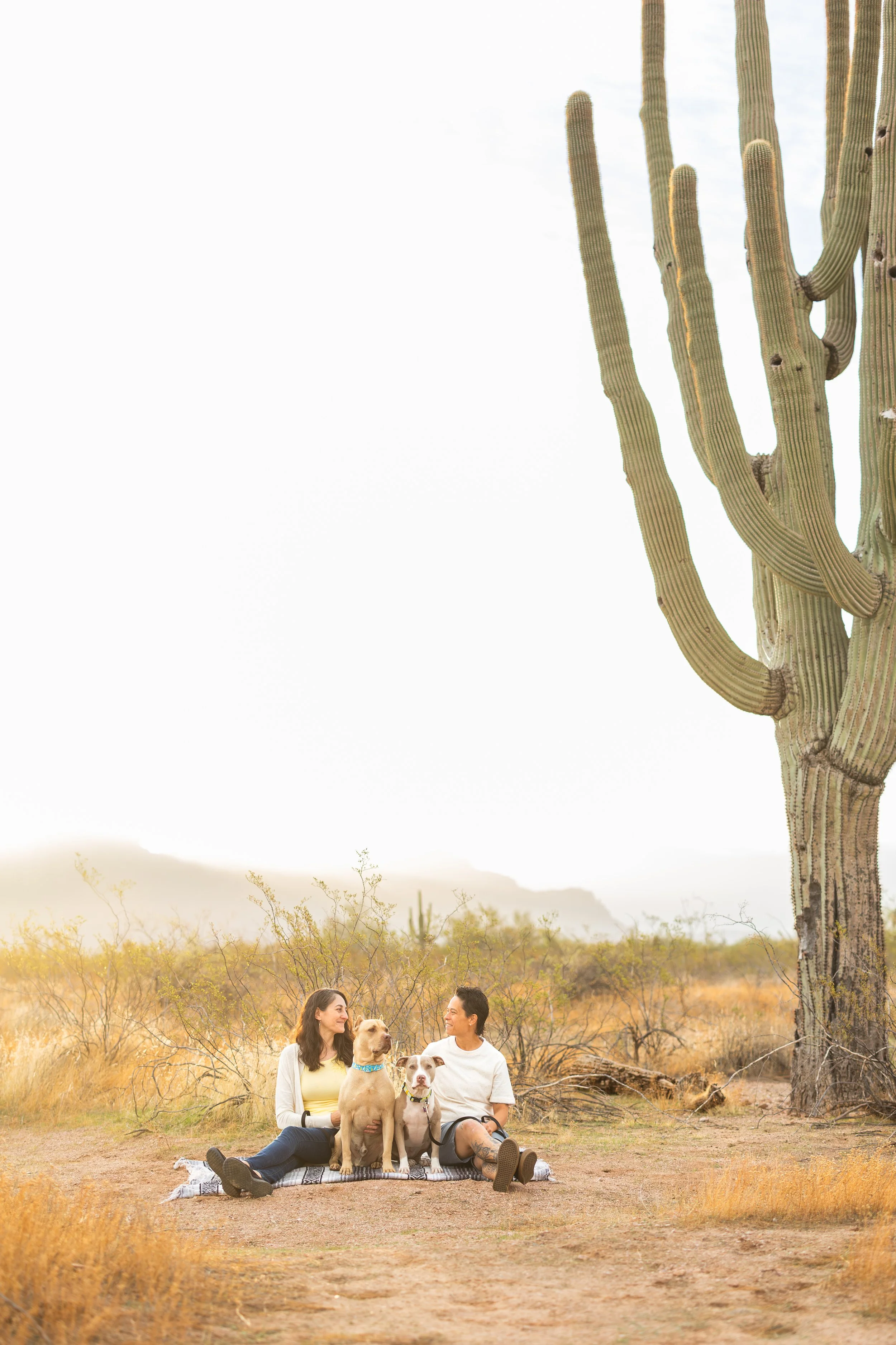 Pip + Captain 2025-51.jpg