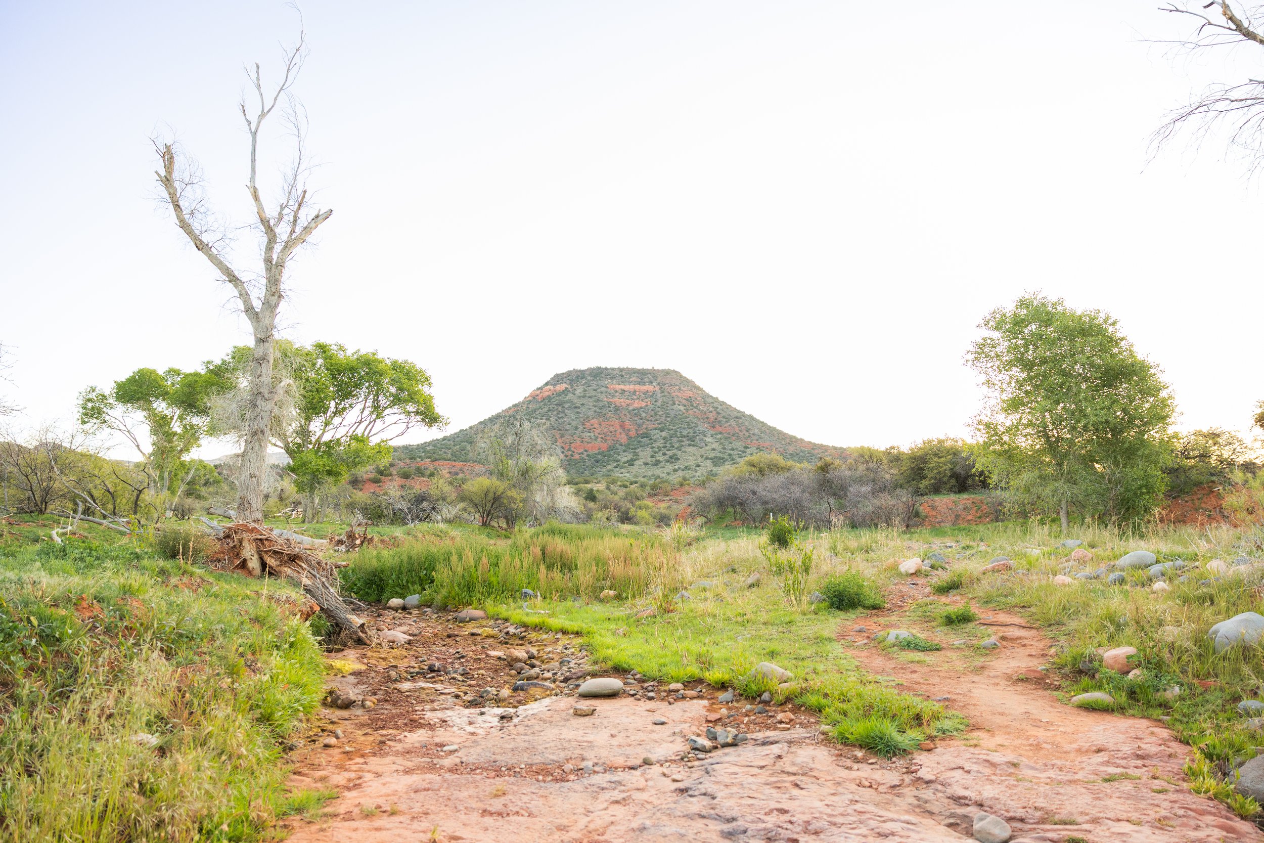 Sedona Scouting 2025-14.jpg