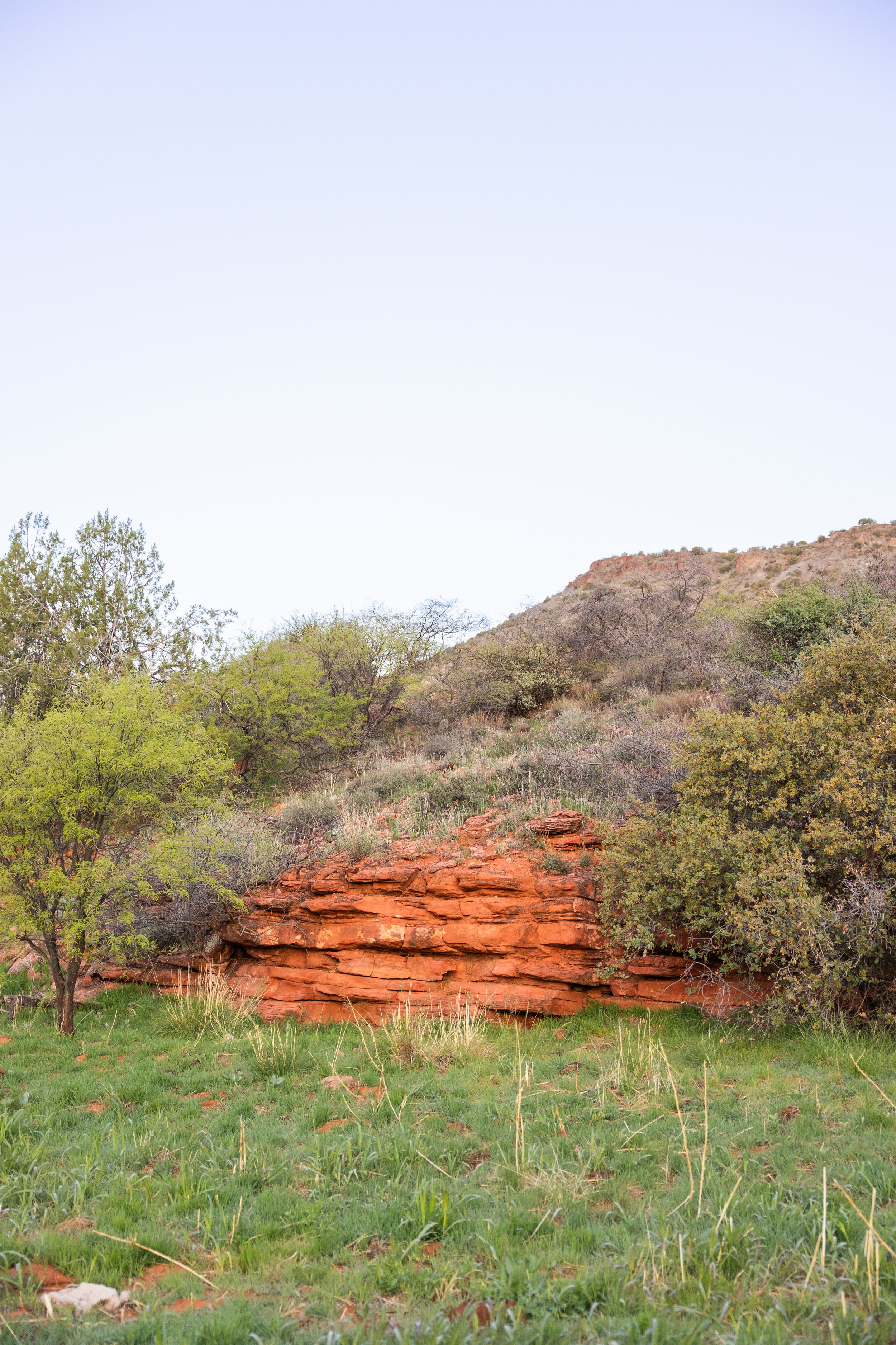 Sedona Scouting 2025-3.jpg