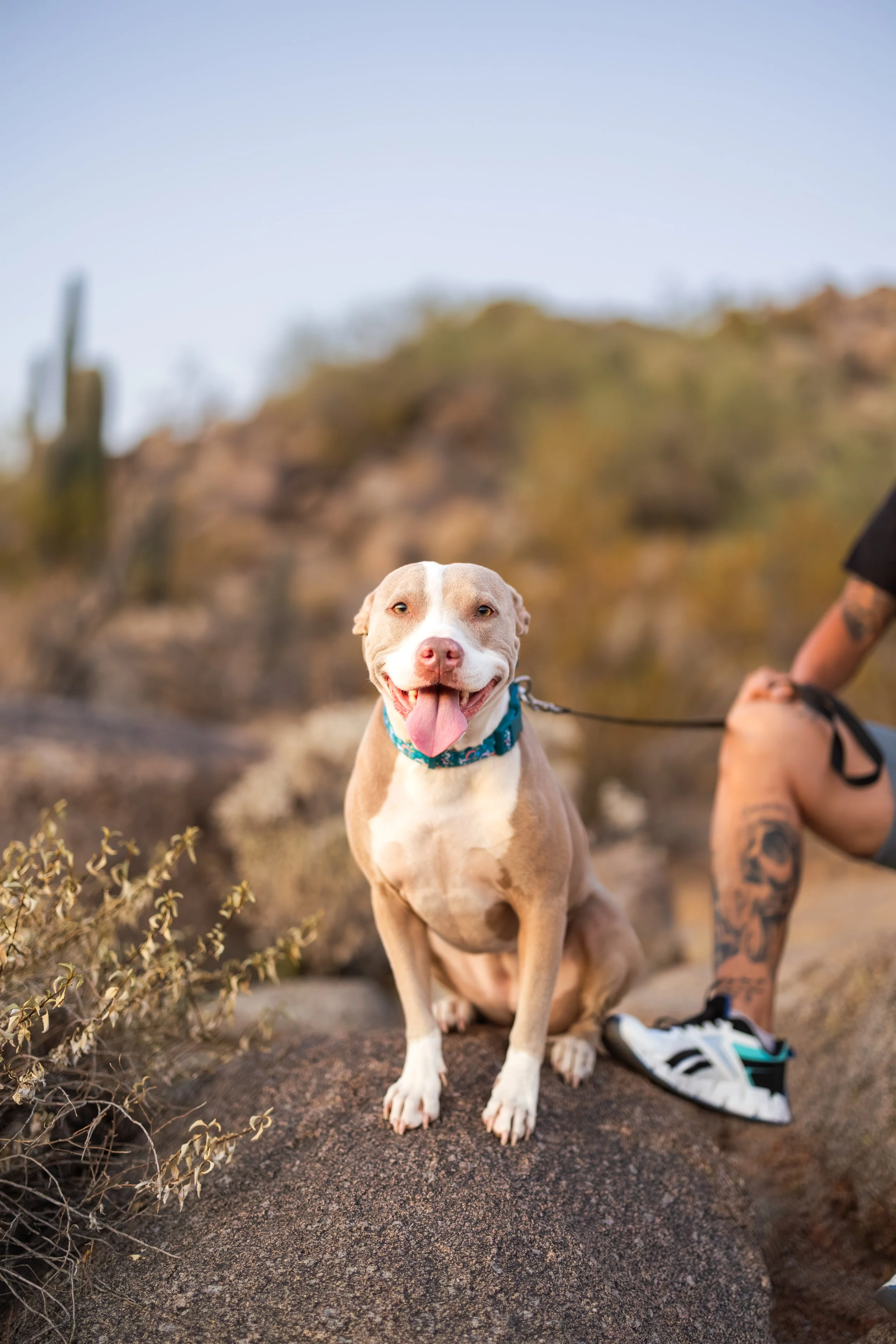 Pip + Blue - 2026-19.jpg