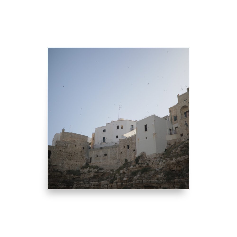 enhanced-matte-paper-poster-(in)-10x10-front-643088c0c1cca.jpg