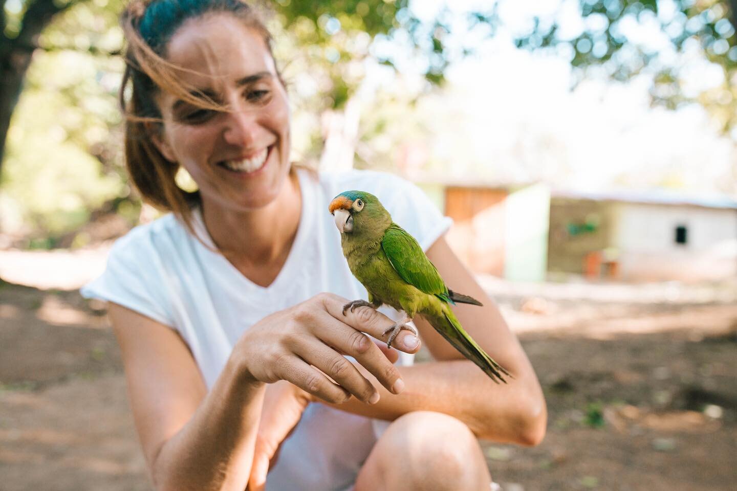 Friday feels ✨Hope everyone has an amazing weekend!! 👏🏻👏🏻

#escamequitalove #discovernicaragua #sanjuandelsur #sjds #nicaragua #nicaragua🇳🇮 #animalrescue #animalrescuer #animalrescues