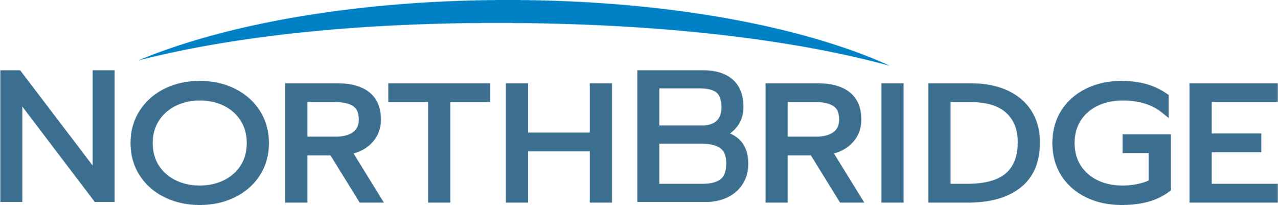 NB Corporate Logo.png