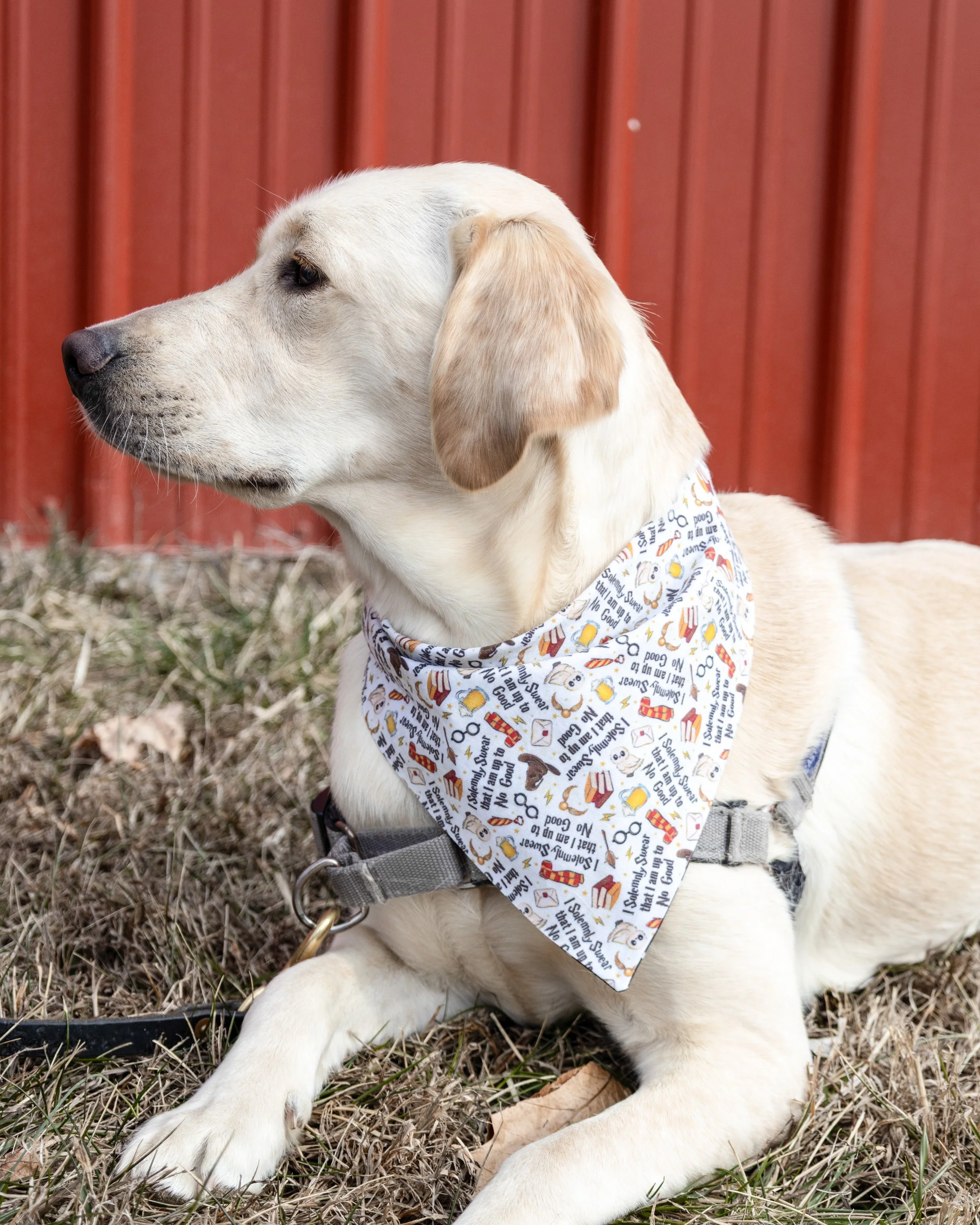 Midnight at Hogwarts