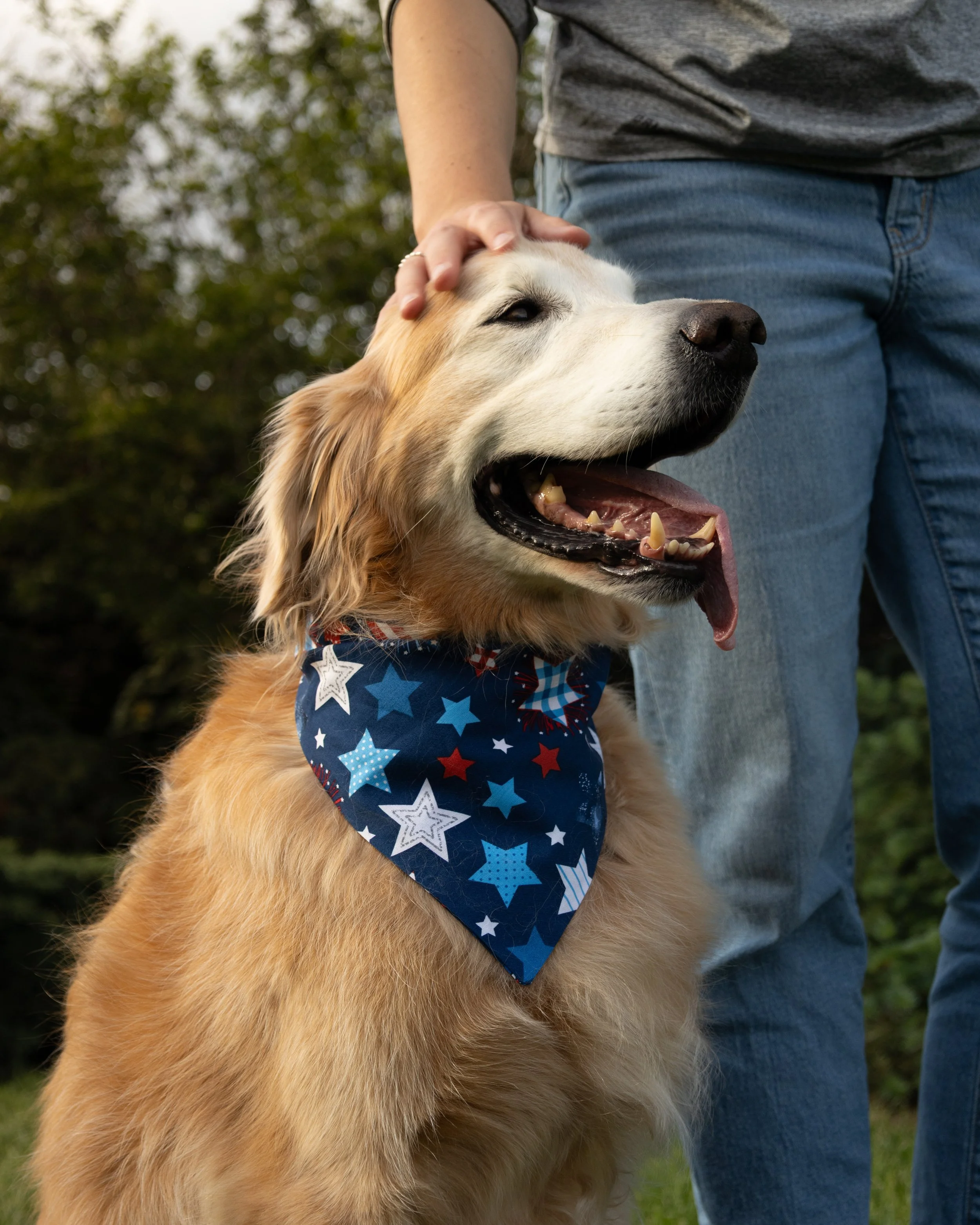 Happy Fourth!