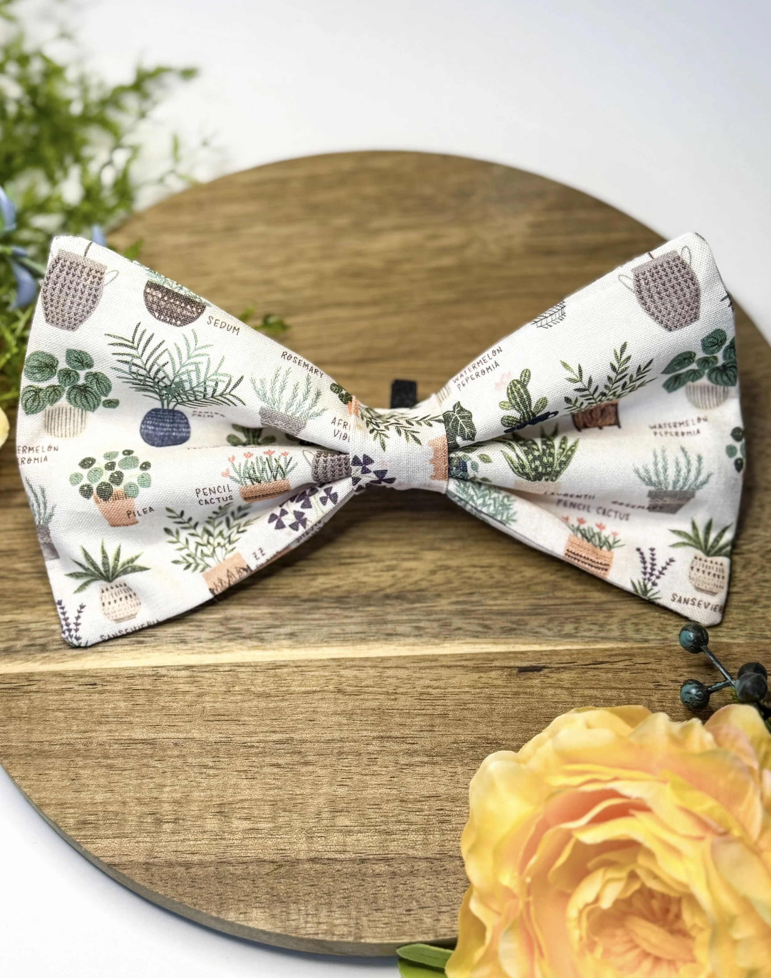 Greenhouse Bow Tie