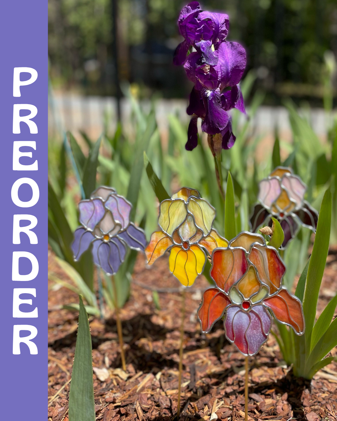 P R E O R D E R.png