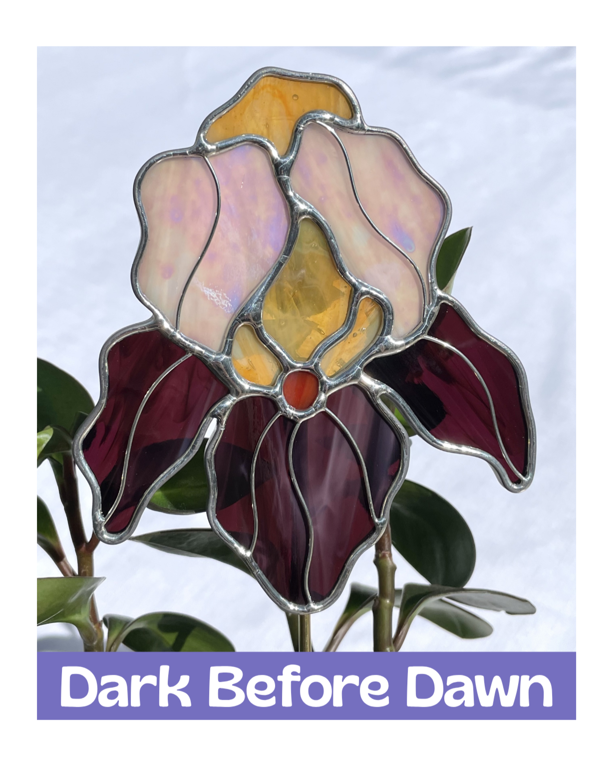 Dark+Before+Dawn.png