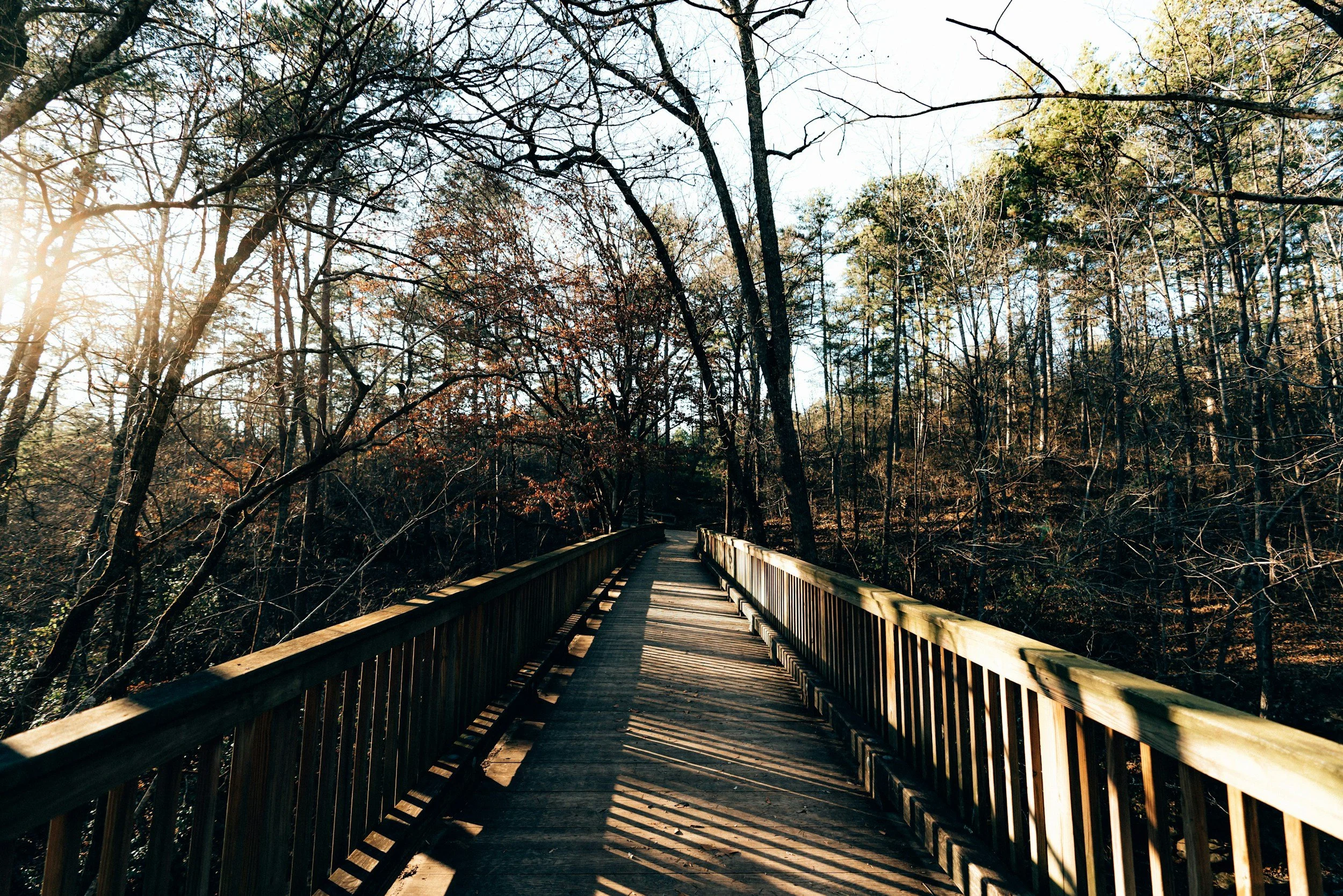 Ultimate Guide to Buying Land in Alabama: Explore the Best Land for Sale in Alabama