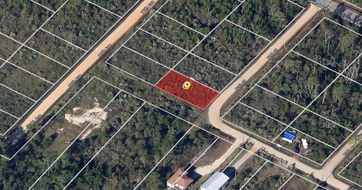 MS 3.png