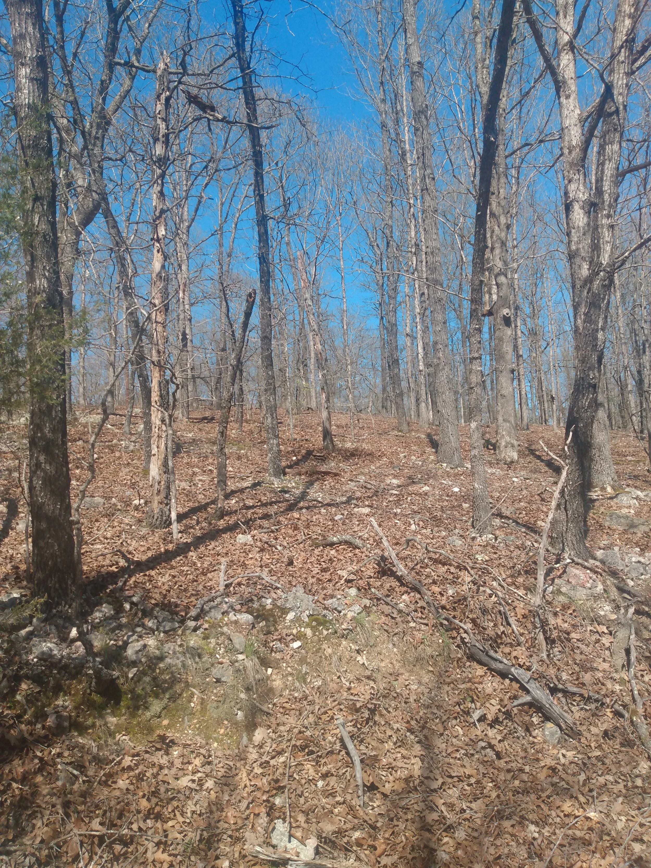 Land for Sale in Williford, Arkansas - $99 down