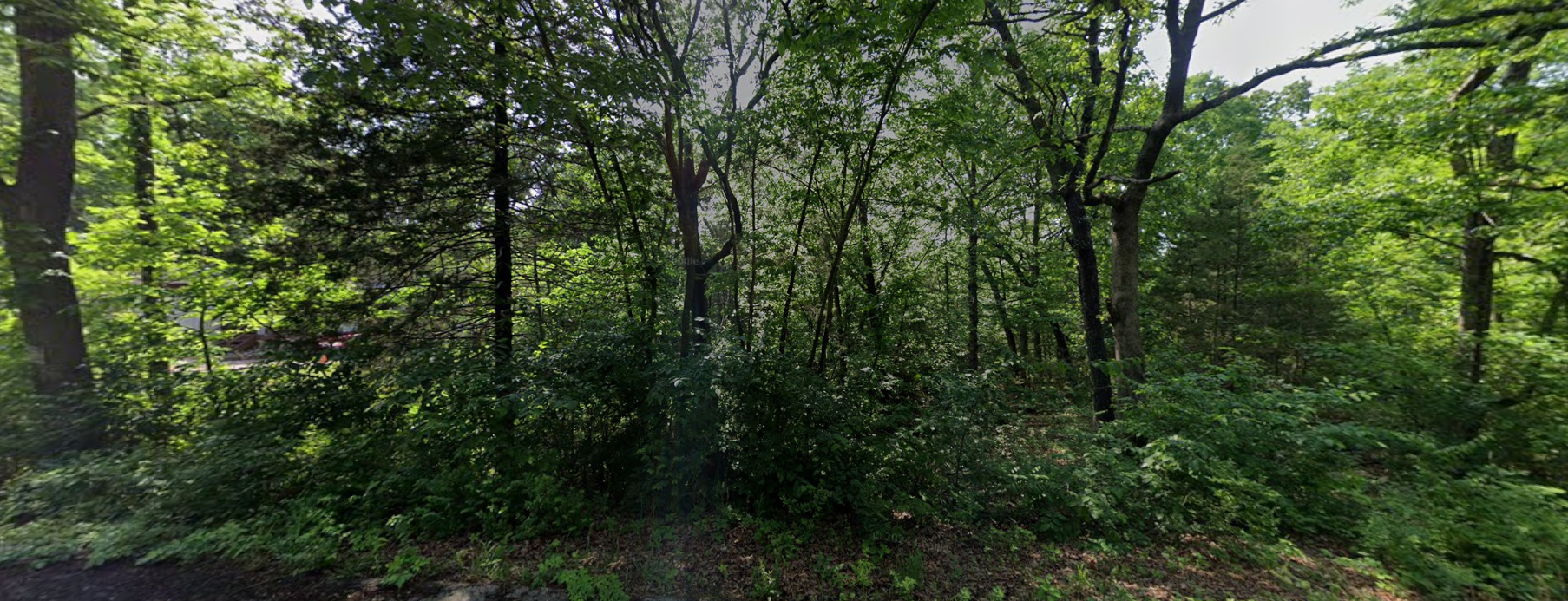 No credit check land for sale in AR Arkansas.png