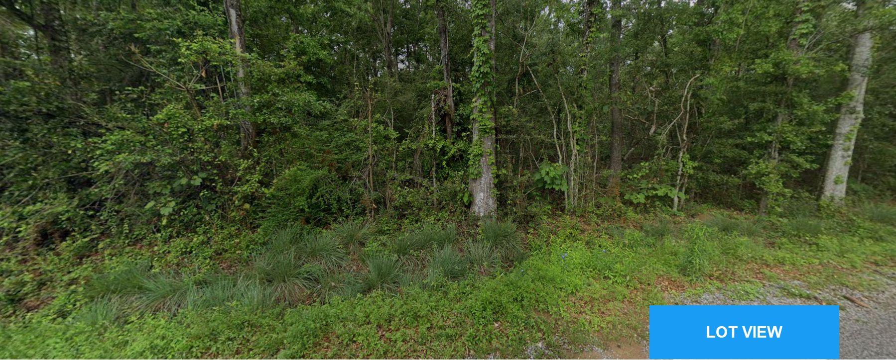 Large vacant lot for sale in Mississippi MS.png