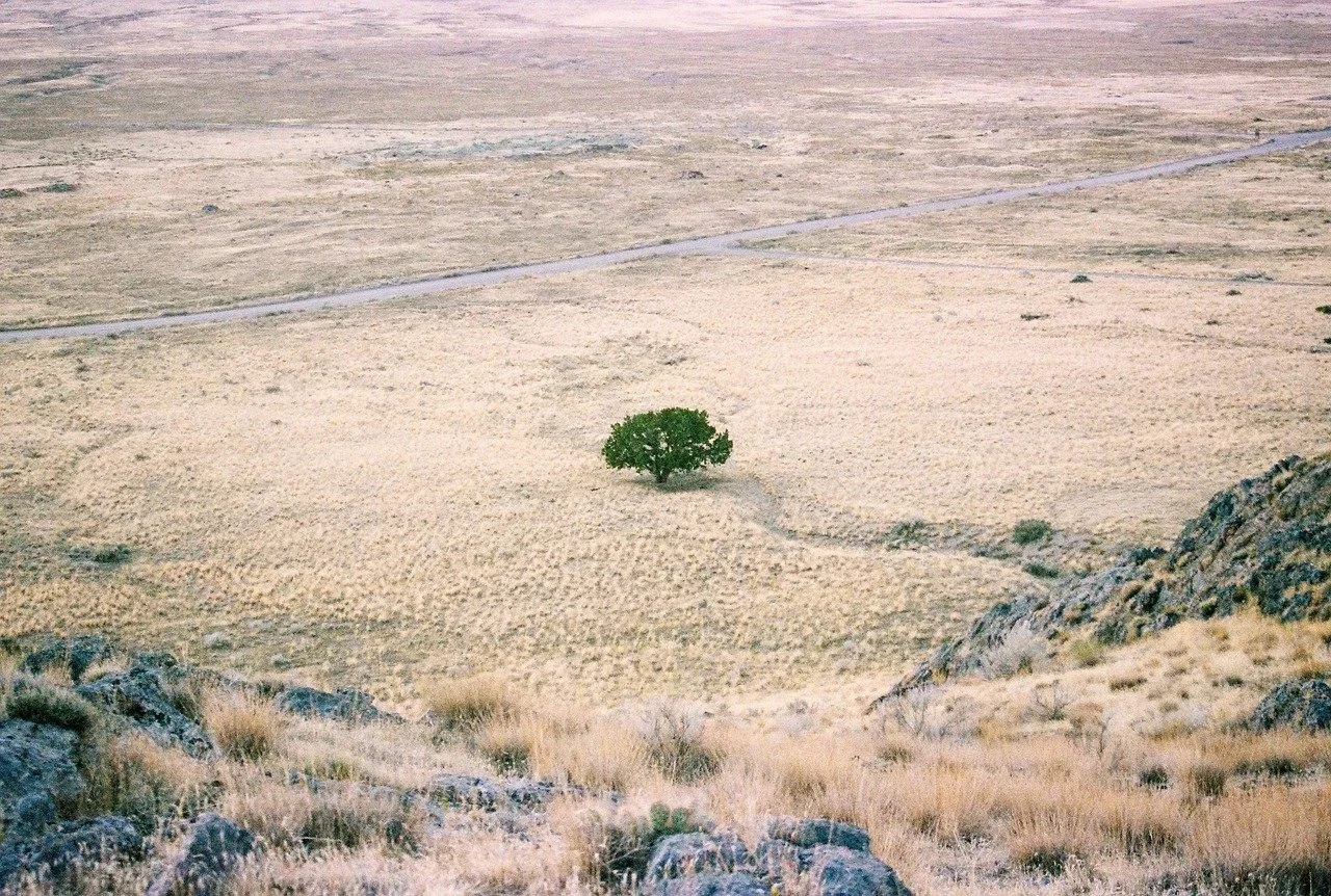 Cheap+Low+Down+Owner+Financed+Land+For+Sale+In+Utah+Beryl.webp