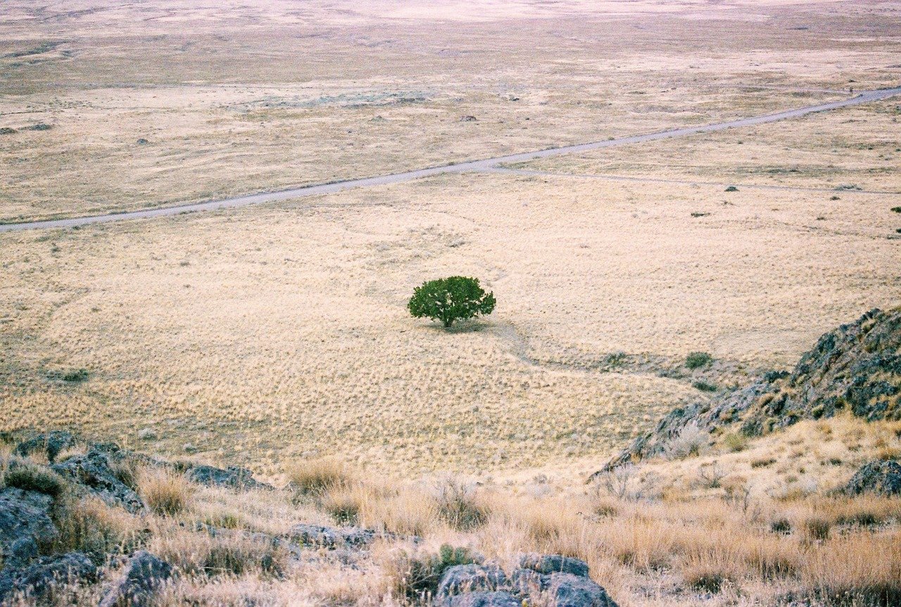Cheap Low Down Owner Financed Land For Sale In Utah Beryl.jpg