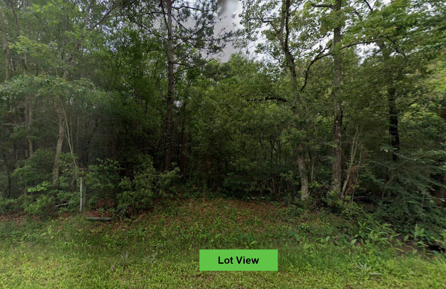 Vacant land for sale in Mississippi with owner financing.png