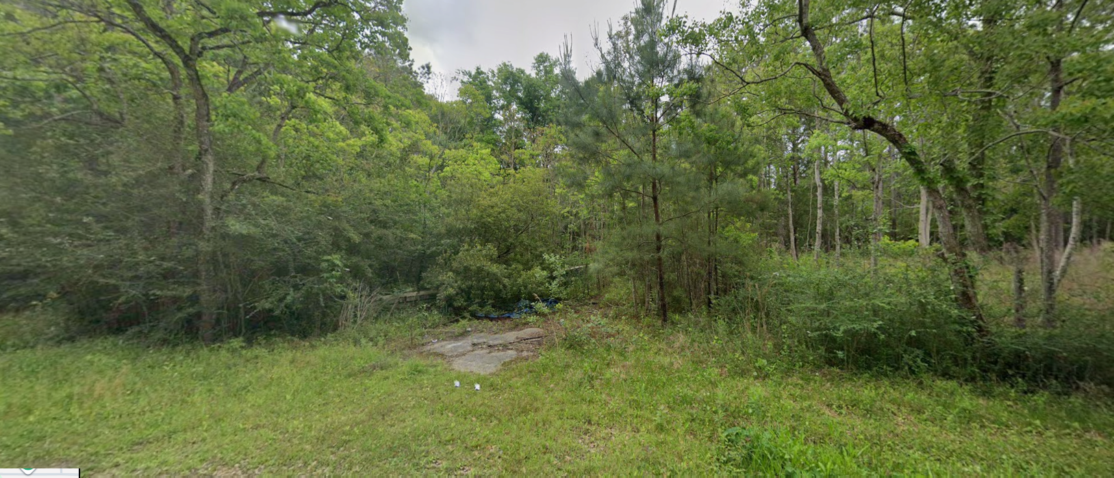 Cheap land for sale in Mississippi MS.png