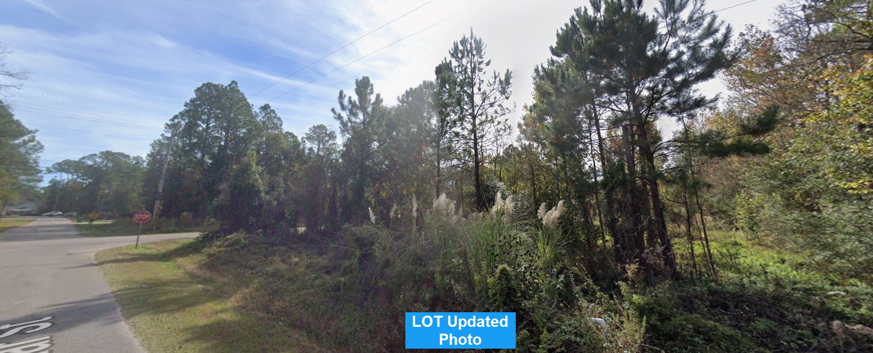 Cheap land for sale in MS.png