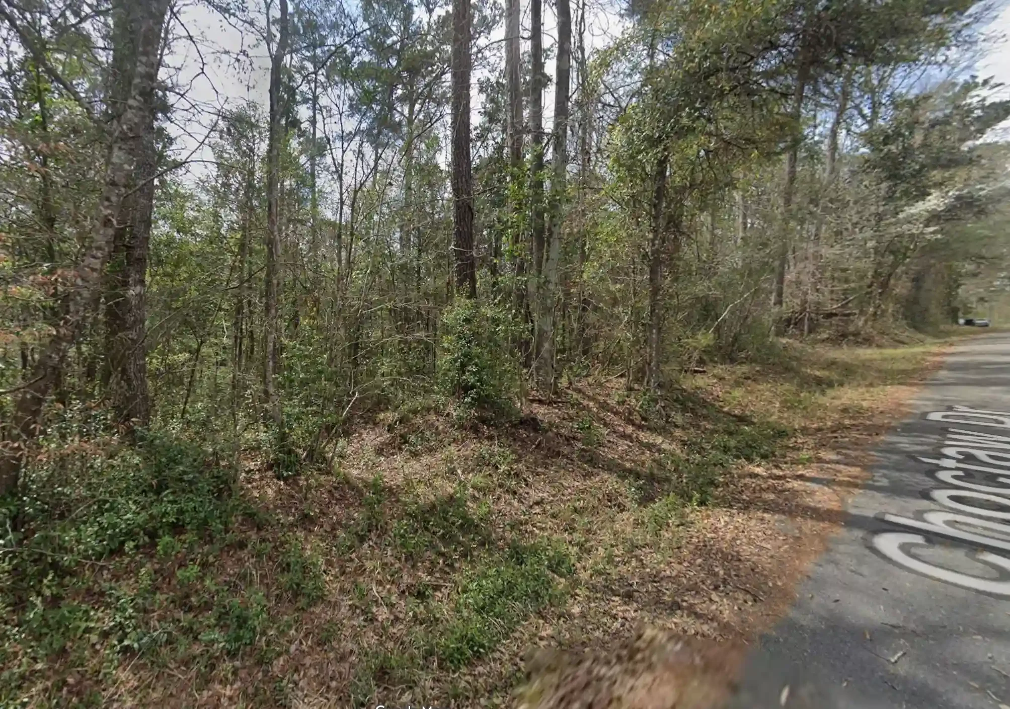 buildable-land-for-sale.webp