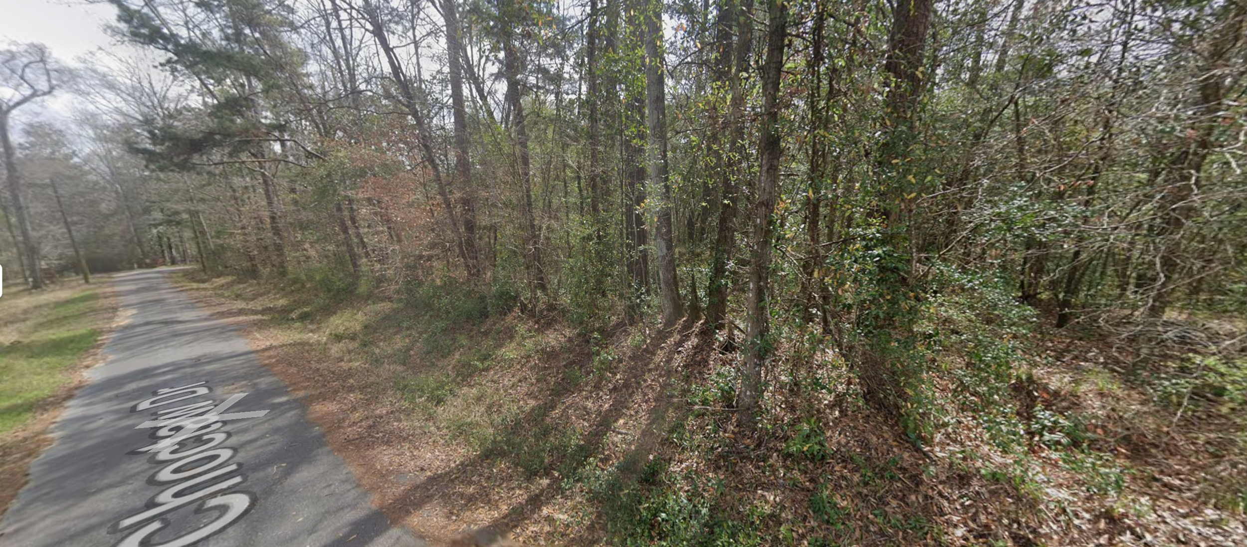 Vacant lot for sale by owner.png