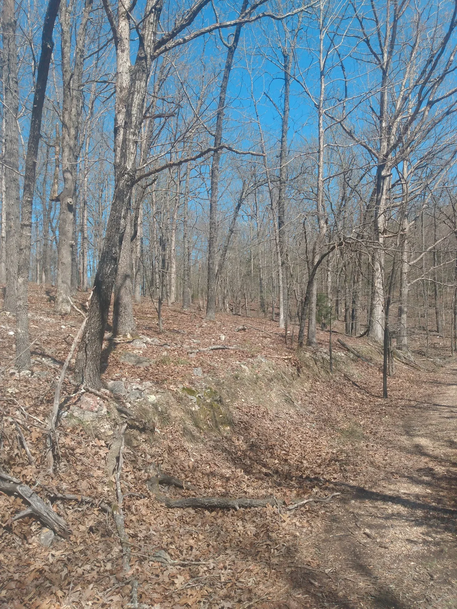 Land for sale under $5000.webp