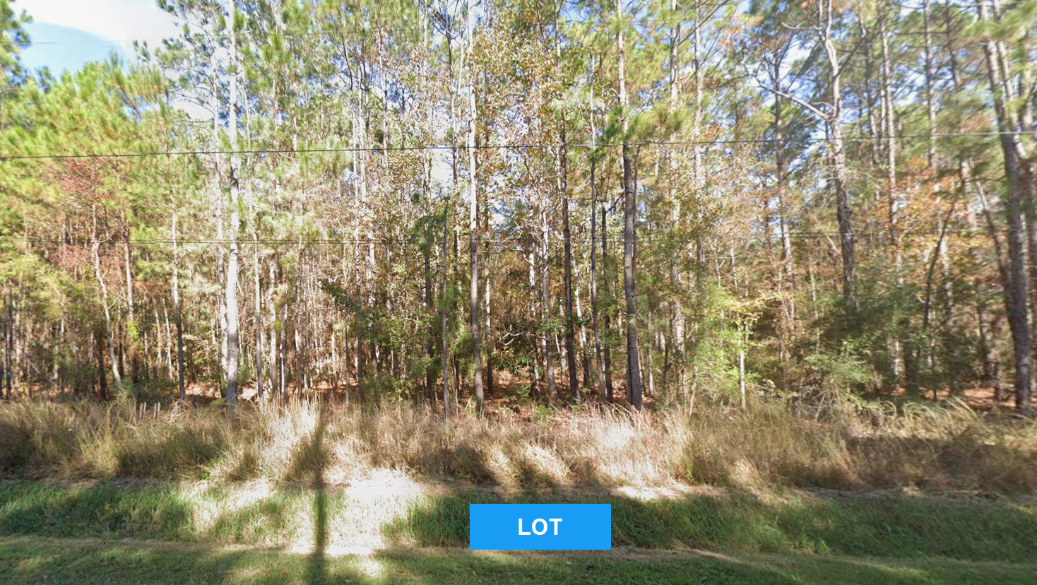 Land for sale in Mississippi Online.png