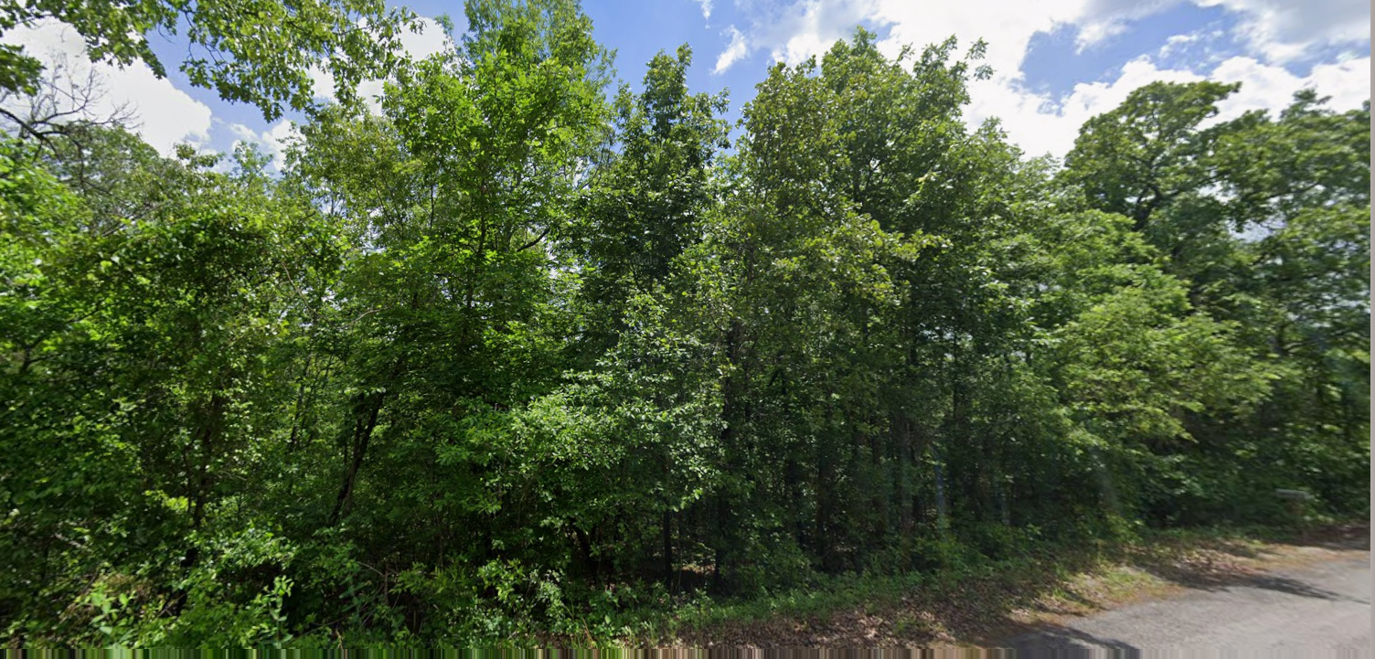 Cheap land $99 down $99 a month no credit checks.png